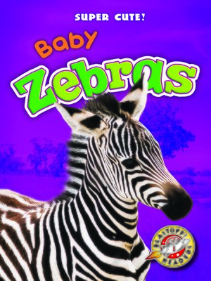 cover image of Baby Zebras
